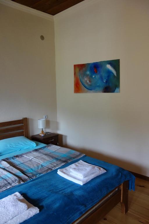Guesthouse Mountain View room 3